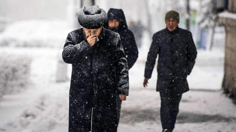 В Казахстане вводится скрининг на раннее выявление риска инсульта у мужчин старше 50 лет