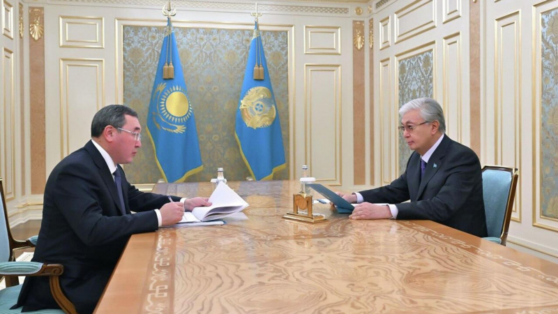 Аким Алматинской области рассказал Токаеву, как развивается туризм в регионе