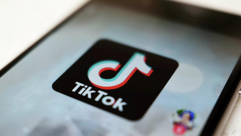 Не менее 5% дохода казахстанские компании получили через TikTok - НПП "Атамекен"
